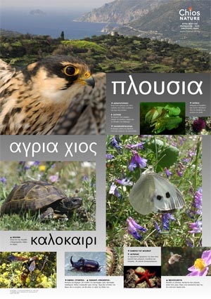 Chios Nature - Summer poster